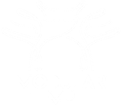 Modular Temple 模块大会